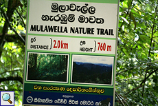 Hinweisschild im Sinharaja-Regenwald