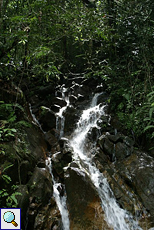Wasserfall mit dichtem Grün im Sinharaja-Regenwald