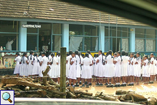 Schulmädchen vor dem Unterrichtsbeginn