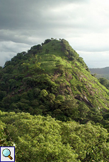 Üppig bewachsener Hügel in Dambulla