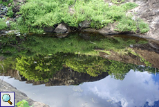Die Felsen von Dambulla spiegeln sich im Wasser