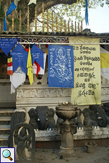 Wunsch- und Dankesfahnen am Bodhi Gara in Kande Vihara