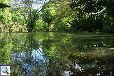 Teich auf dem Gelände der Panchakapaduwa-Tempelanlage