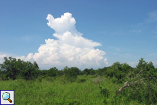 In der Ferne türmt sich eine Gewitterwolke auf