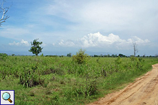 Landschaft im Udawalawe-Nationalpark