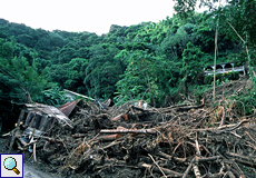 Delaford, Tobago, nach den Erdrutschen vom 12.11.2004