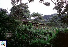 Das Haupthaus des Asa Wright Nature Center