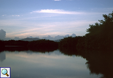 Abendstimmung in den Caroni-Sümpfen