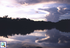 Wolkenspiegelungen in den Caroni-Sümpfen