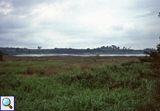 Blick auf den Pitch Lake, Trinidad