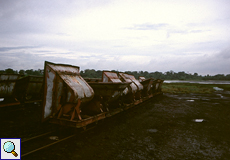 Asphaltabbau am Pitch Lake, Trinidad