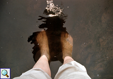 'Selbstporträt' im Wasser des Pitch Lake, Trinidad