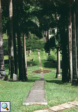 Weg im Botanischen Garten in Scarborough auf Tobago