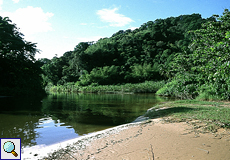 Mündungsbereich des Marianne River bei Blanchisseuse, Trinidad