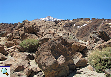 Im Nationalpark 'Las Cañadas del Teide'