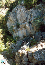 Basaltrose (Piedra la Rosa) an einer Straße in der Nähe von Aguamansa