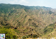 Hänge des Anaga-Gebirges mit Terrassenfeldern