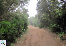 Breiter Wanderweg bei Cruz del Carmen