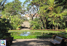 Am zentralen Wasserbecken des Botanischen Gartens laden Bänke zum Verweilen ein