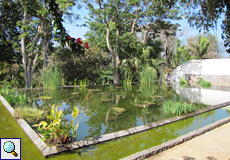 Das obere Wasserbecken des Botanischen Gartens ist rechteckig