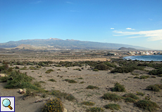 Die Vegetation im Schutzgebiet Montaña Roja ist recht niedrig in ihrem Wuchs