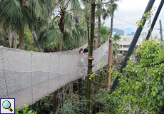 In der Freiflughalle Katandra Treetops gibt es Hängebrücken in den Baumkronen