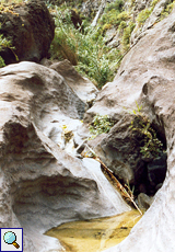 Erosionsspur mit Wasserlauf in der Masca-Schlucht