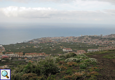 Blick auf Puerto de la Cruz