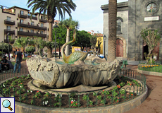 Schwanenbrunnen auf der Plaza Iglesia in Puerto de la Cruz