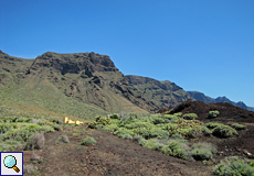 Landschaft an der Punta de Teno