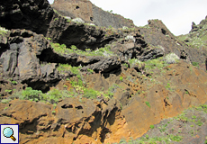 Bunte Steilwand mit Vegetation im Teno-Gebirge