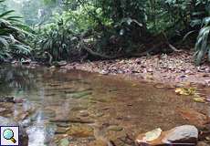 Wasserlauf in der Quebrada Agua Clara