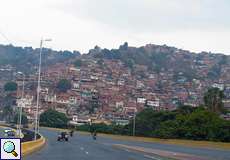 Blühende Tropenbäume