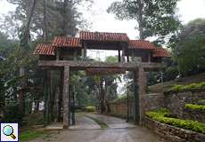 Tor am Eingang des Palmichal Forest Reserve