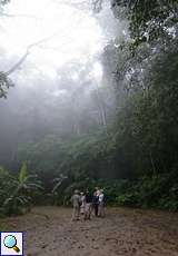 Kleine Besuchergruppe im Palmichal Rorest Reserve